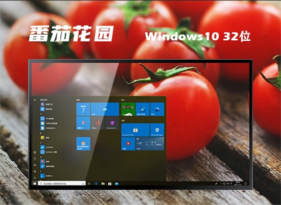 番茄花园win10 20h2 ltsc2019 v2019-第1张图片-铖浩科技