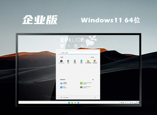 萝卜家园ghost win11企业改良版 v2022.11-第1张图片-铖浩科技