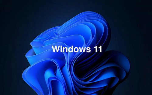 萝卜家园win11旗舰版64位安装 v2022-第1张图片-铖浩科技
