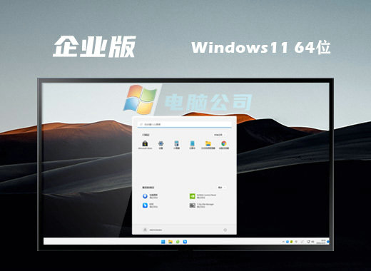 电脑公司Win11 22H2企业预装版 v2022.11-第1张图片-铖浩科技