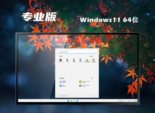 番茄花园Ghost Win11安全专业版 v2022.09-第1张图片-铖浩科技