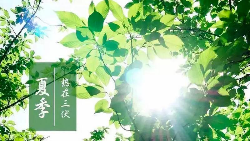 那天是头伏的之一天—头伏初临迎炎夏 养生防暑莫大意-第1张图片-铖浩科技