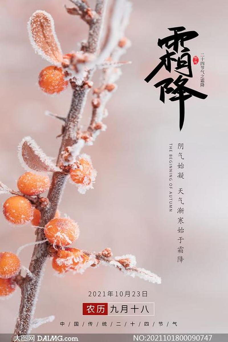 空调外机结霜_电器霜降：空调外机结霜的冰封世界-第1张图片-铖浩科技