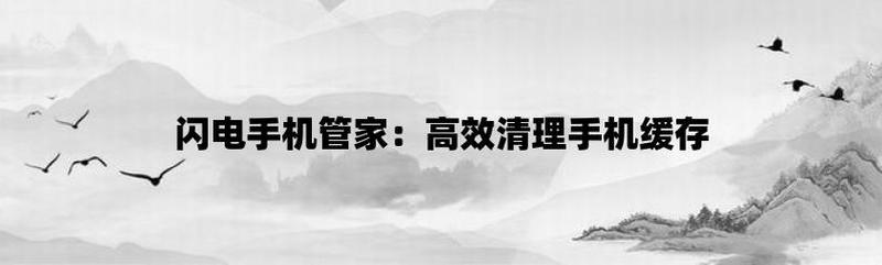 闪电下载宝库：精选动画盛宴-第1张图片-铖浩科技