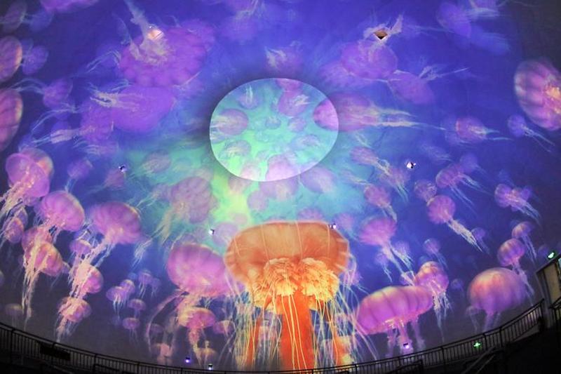 漂浮于数字海洋中的虚拟聚会-第1张图片-铖浩科技