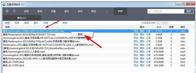 迅雷资源助手5.1_迅雷资源助手5.1：极速下载，高效管理-第1张图片-铖浩科技