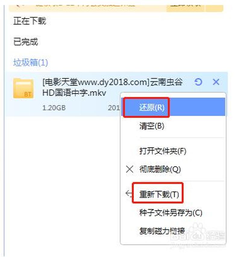 迅雷视频下载完成看不了(迅雷随心下载：极速享受视听盛宴)-第1张图片-铖浩科技