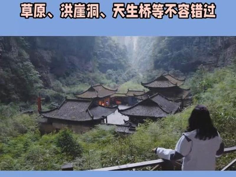 虫虫助手，下载神器，畅游应用无忧-第1张图片-铖浩科技