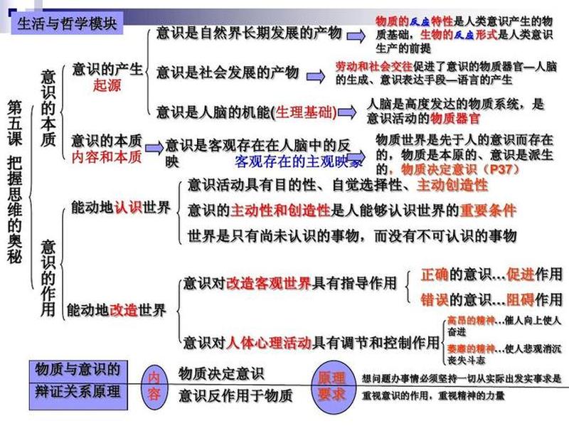 深入探索 Wood 文档：掌握技术文档写作的奥秘-第1张图片-铖浩科技