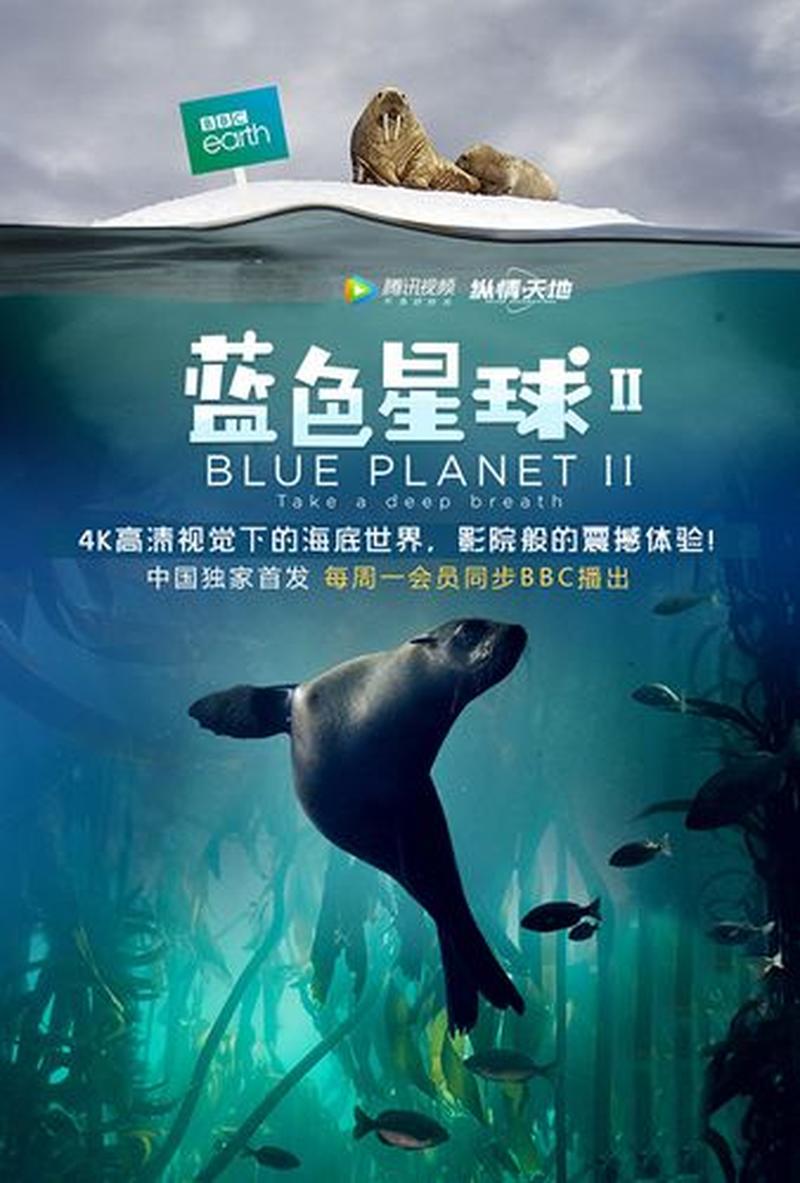 蓝色星球2：沉浸式海洋探索之旅-第1张图片-铖浩科技