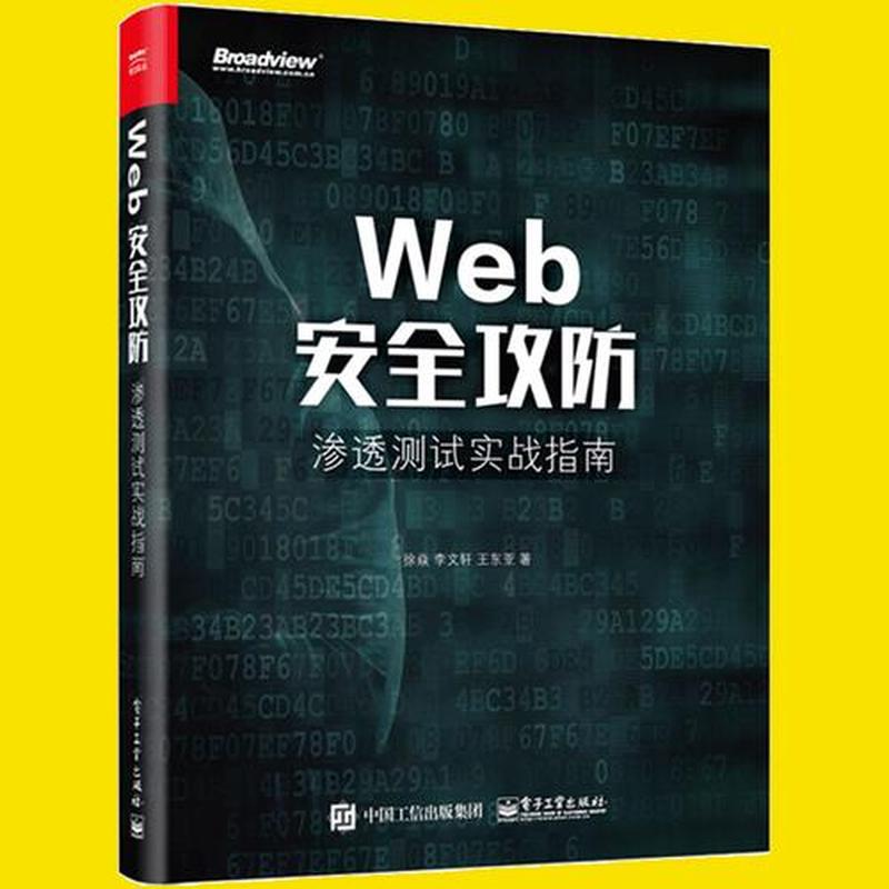 黑客攻防技术宝典web实战篇_黑客攻防技艺大全，洞悉 *** 世界奥秘-第1张图片-铖浩科技