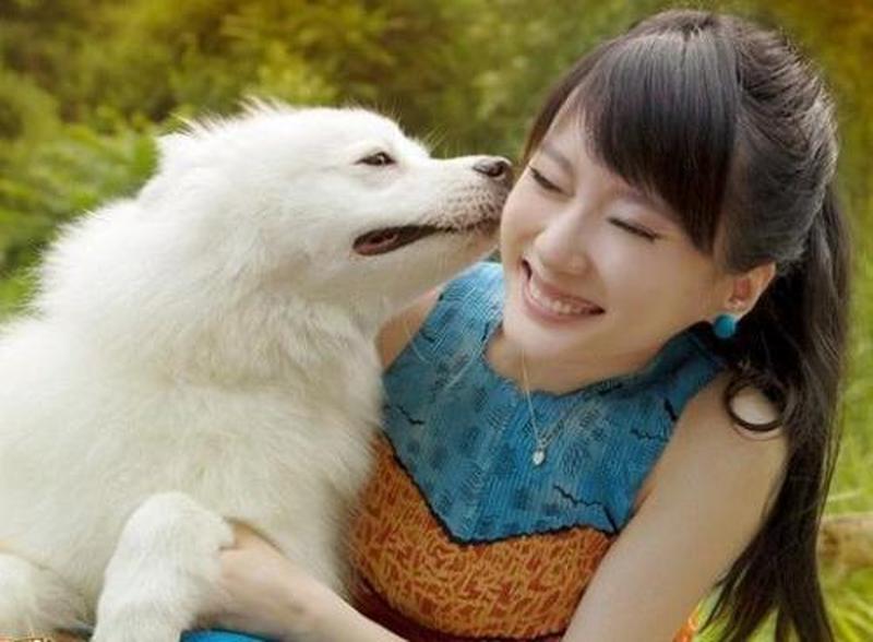 跳跳妹妹的宠物犬(跳跳的奇幻历险：探索宠物狗的秘密世界)-第1张图片-铖浩科技