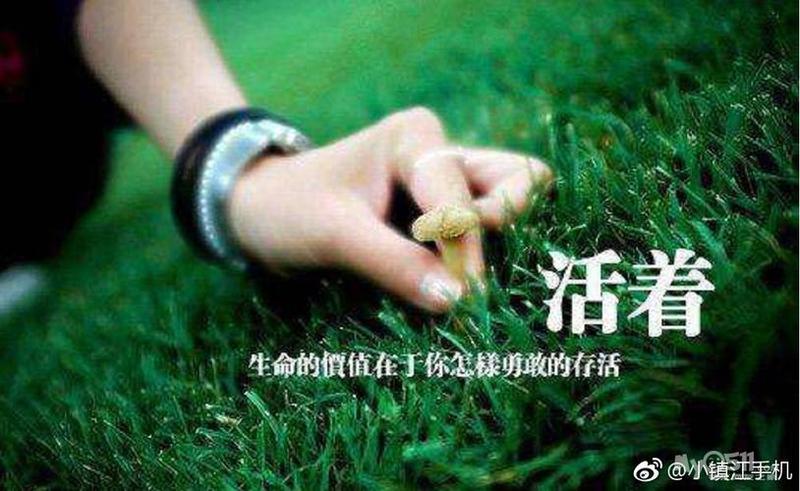 蜀地雀域：掀起四川麻将手机风云-第1张图片-铖浩科技