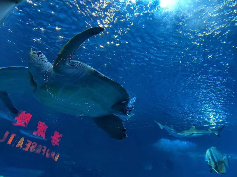 解锁系统时光机 重启电脑时光倒流-第1张图片-铖浩科技