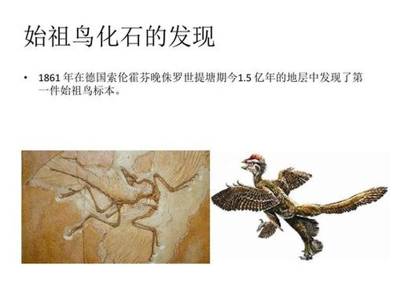 鸟类史前进化之谜：远古鸟儿的利齿-第1张图片-铖浩科技