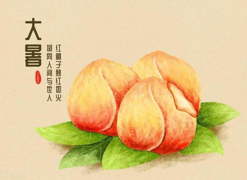 大暑节气吃什么(大暑美食指南：消暑解渴提神，度过炎炎夏日)-第1张图片-铖浩科技