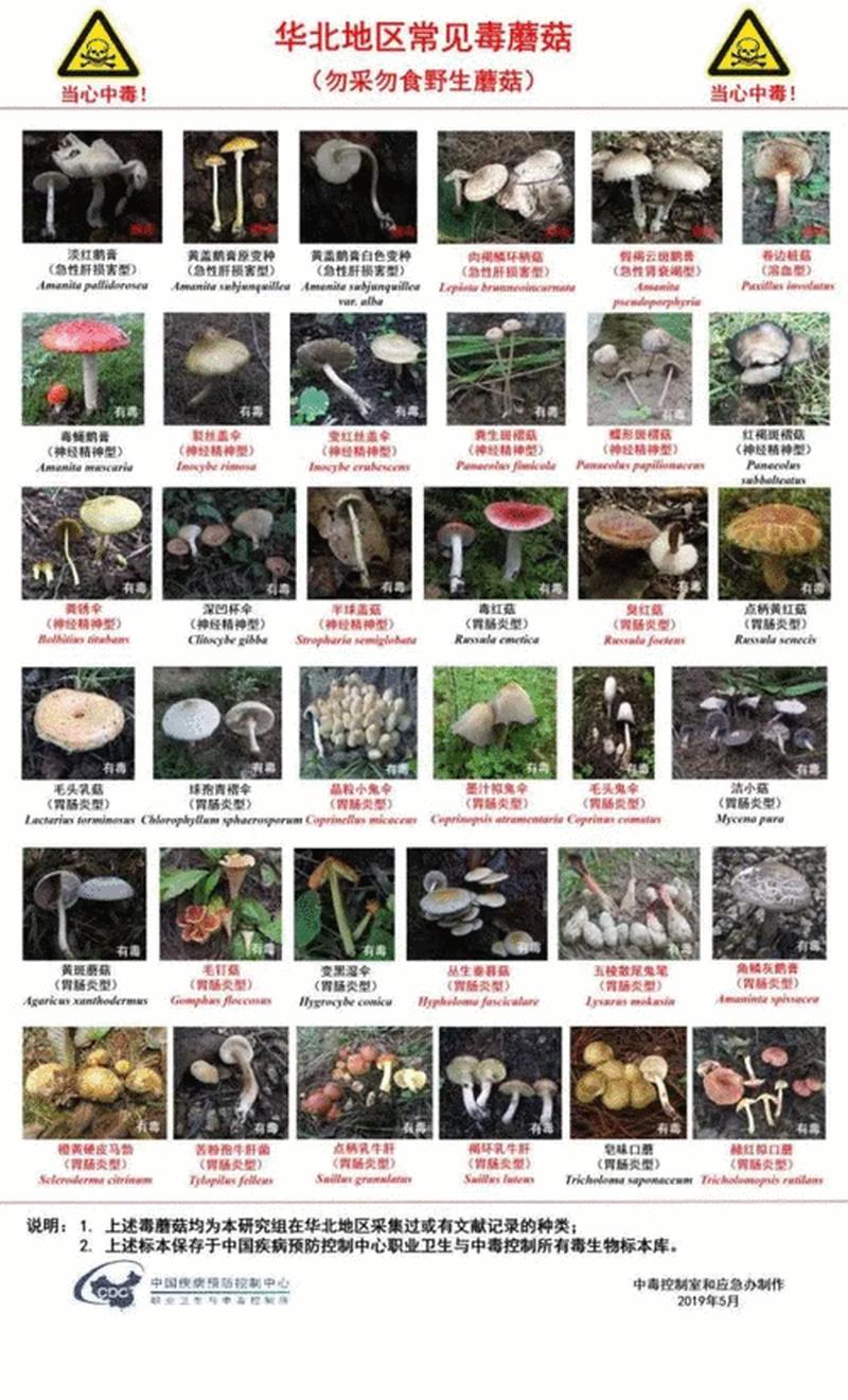 电脑中毒必学秘籍：让你的机器分崩离析-第1张图片-铖浩科技