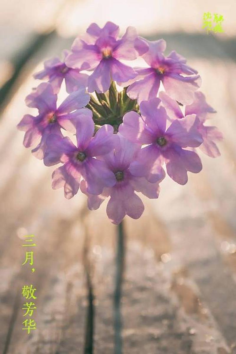 七中寻忆，缅怀XP芳华-第1张图片-铖浩科技