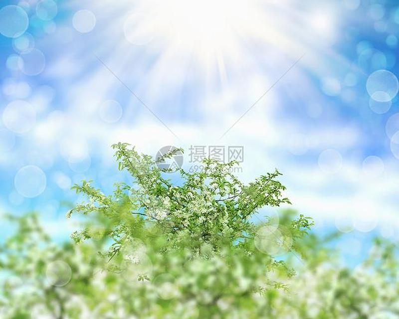 阳光软件(阳光照耀，软件绽放)-第1张图片-铖浩科技