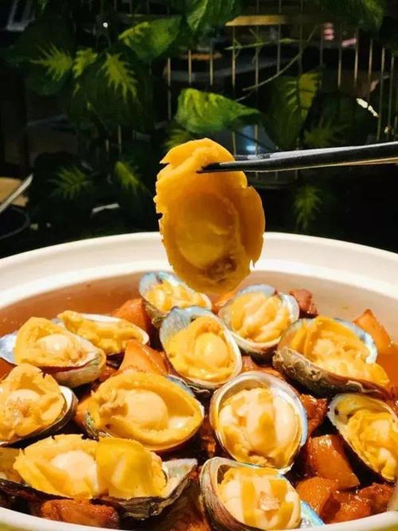 鲍鱼珍馐：舌尖上的软黄金-第1张图片-铖浩科技