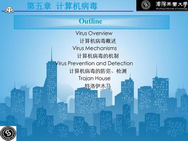 计算机病毒是一种程序(计算机病毒： *** 中的幽灵杀手)-第1张图片-铖浩科技