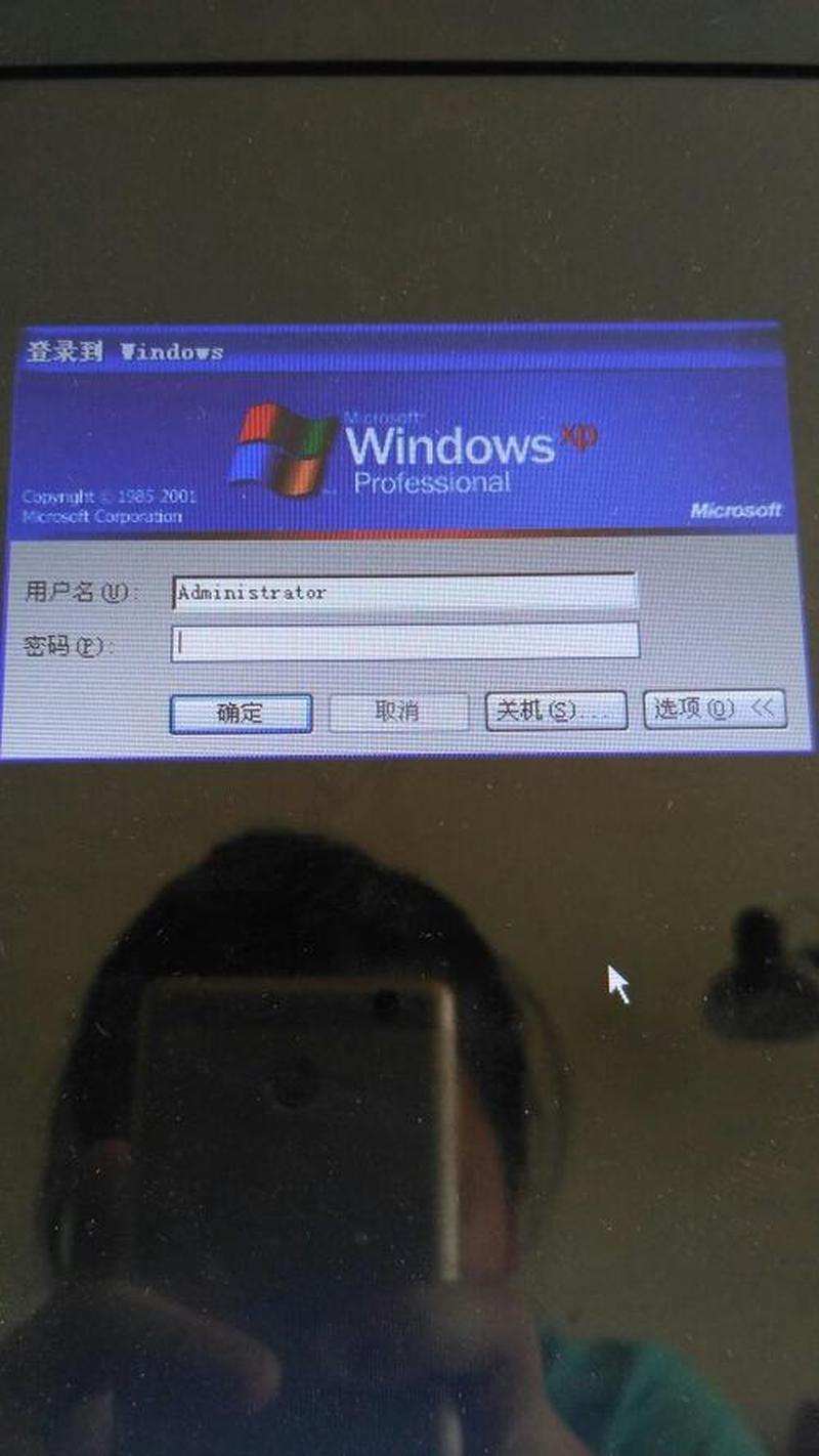 winxp序列号—揭秘Windows XP序列号：开启数字时代的密钥之谜-第1张图片-铖浩科技