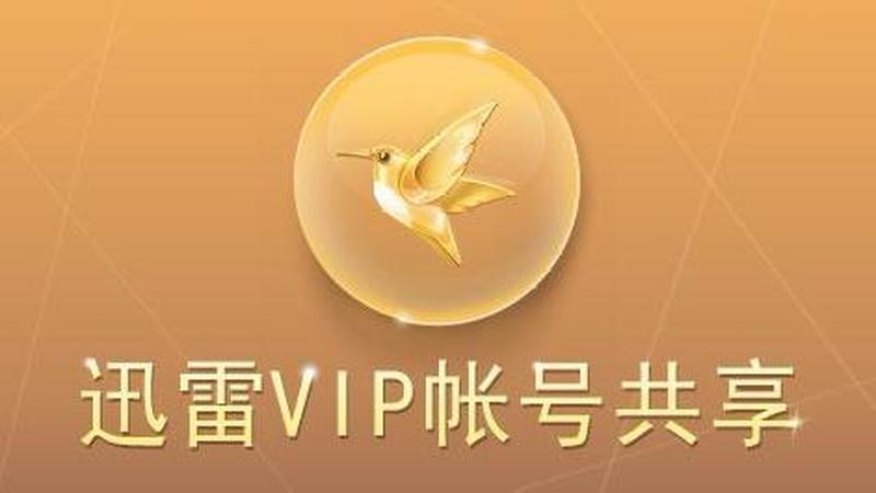 迅雷会员账号共享大本营，免费VIP畅享影视剧-第1张图片-铖浩科技