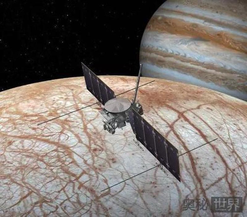 电鳗碰撞机揭秘生物释放的电能奥秘-第1张图片-铖浩科技