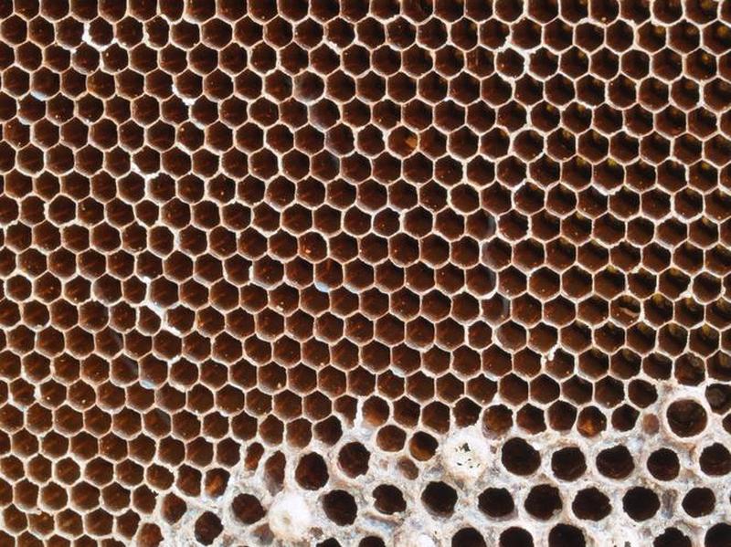 蜂窝游戏助手_蜂巢智囊：解锁游戏奥秘的蜂群指引-第1张图片-铖浩科技