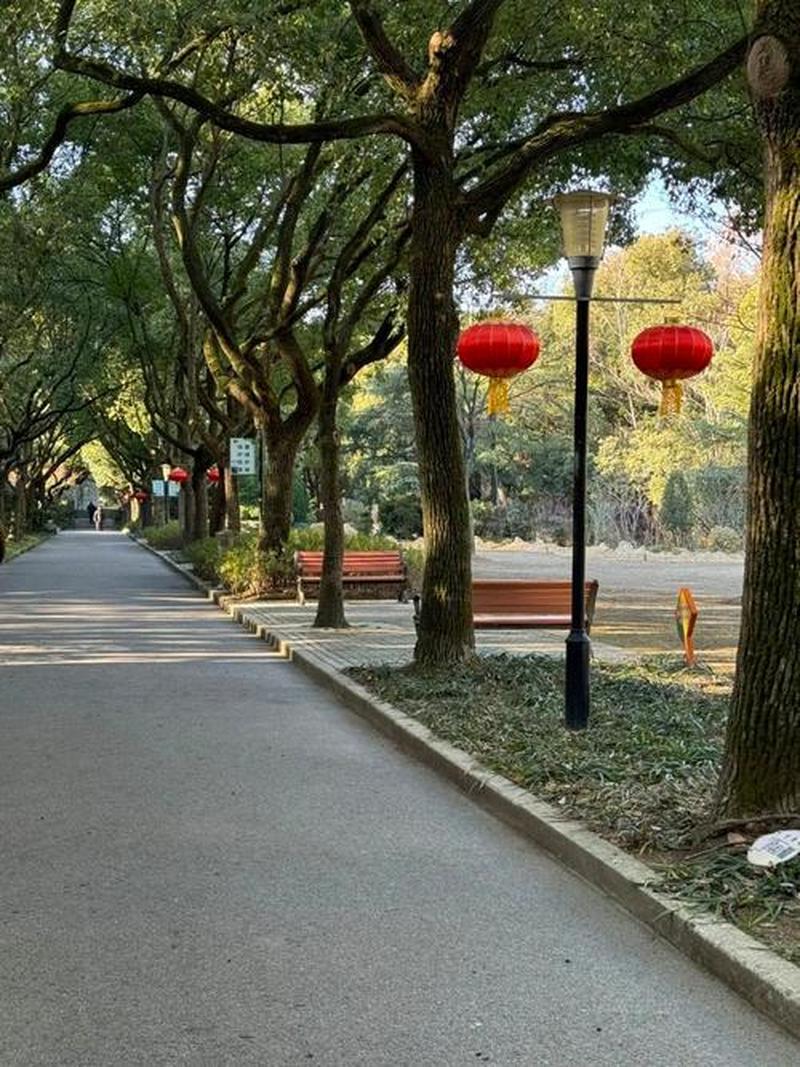 金山打字练习神器，极速提升指尖飞舞-第1张图片-铖浩科技