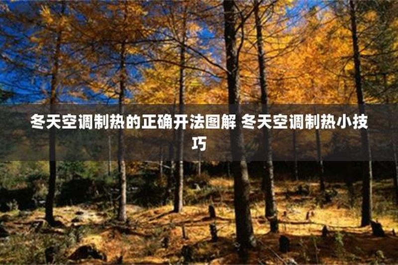 空调冬天制热合适温度指南-第1张图片-铖浩科技