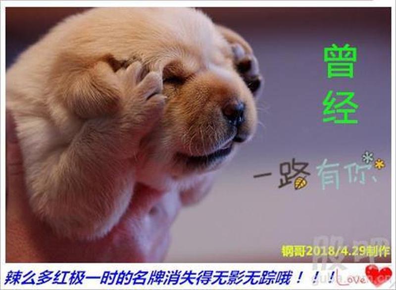 洗衣机耍赖 ***  甩干功能无影踪-第1张图片-铖浩科技