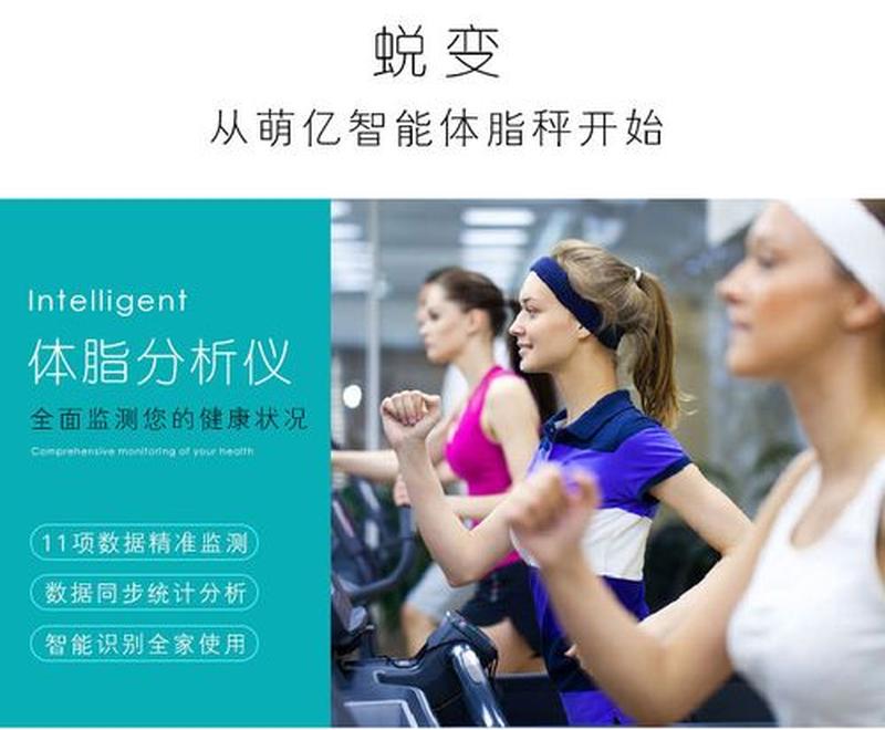 智联体脂秤 探索健康新境界-第1张图片-铖浩科技