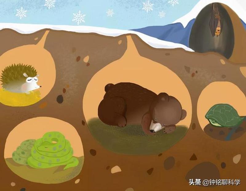 穿越火线卡箱子不掉血的教程_穿越火线：卡箱子的狂欢盛宴，揭秘顶级道具-第1张图片-铖浩科技