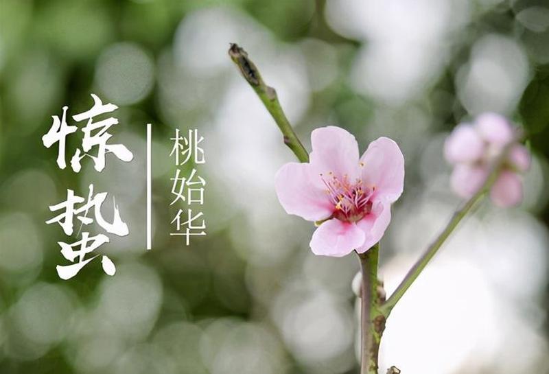 惊蛰的含义是什么意思_惊蛰之声，万物复苏唤新生-第1张图片-铖浩科技