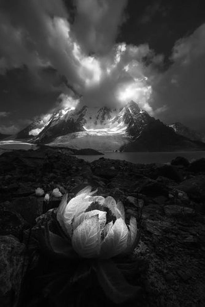 黑色大地怎么刷—深潜黑土探秘：征服黑色大地攻略-第1张图片-铖浩科技