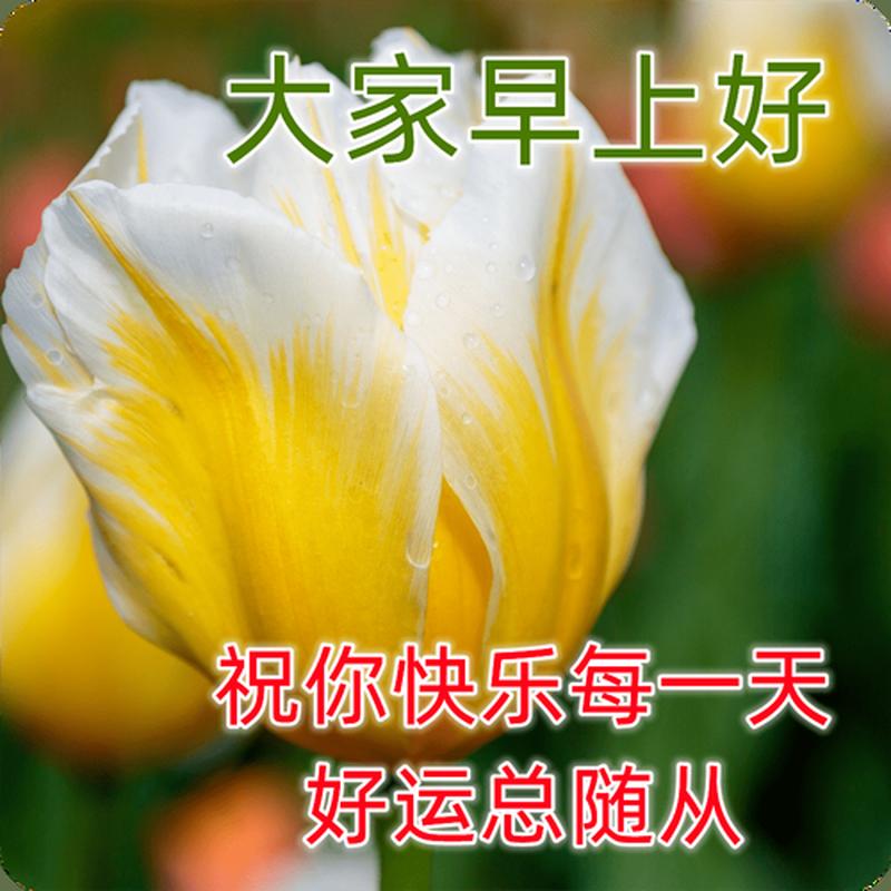 wow表情(笑看艾泽拉斯，表情传真情)-第1张图片-铖浩科技