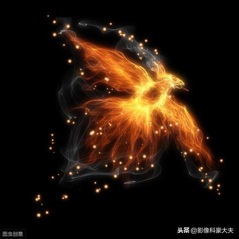 羽化在哪里_羽化之境：探秘涅槃之地-第1张图片-铖浩科技