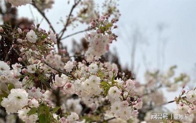 黑暗之女攻略(暗女的魅惑攻略：征服黑暗之女的心)-第1张图片-铖浩科技