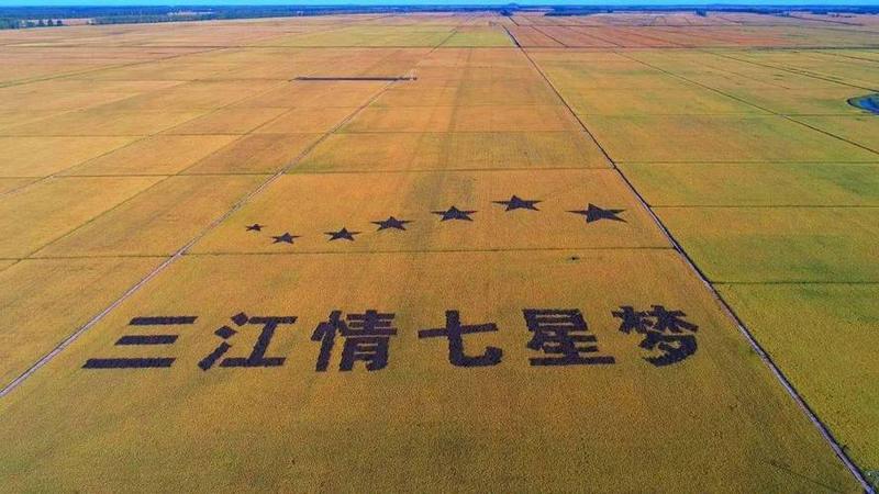 七星传奇辅助官网_七星辅佐：纵横天下，技冠群芳-第1张图片-铖浩科技