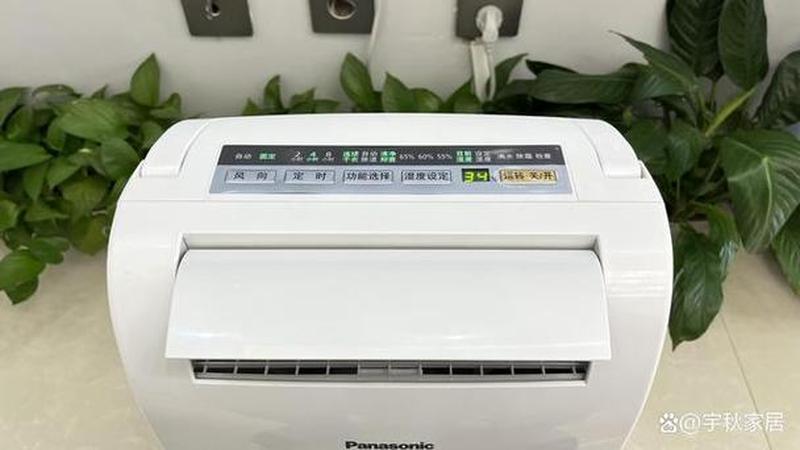 除湿机价格：选购指南及合理预算分析-第1张图片-铖浩科技