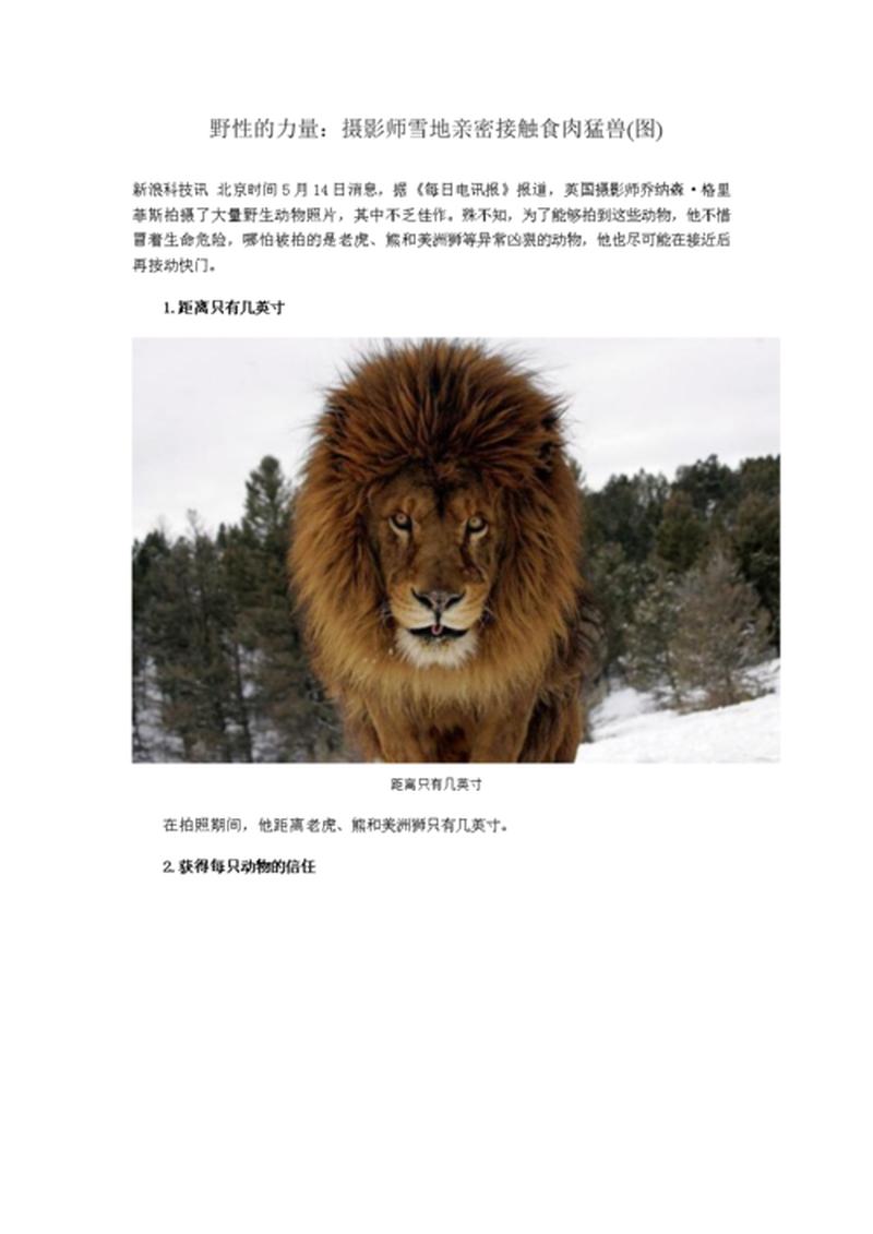 暗夜猎杀：释放daemontools的野性力量-第1张图片-铖浩科技