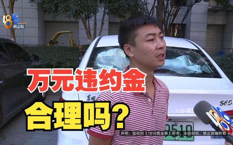 黄金眼图片浏览器—黄金眼图片管理器：你的视觉盛宴-第1张图片-铖浩科技