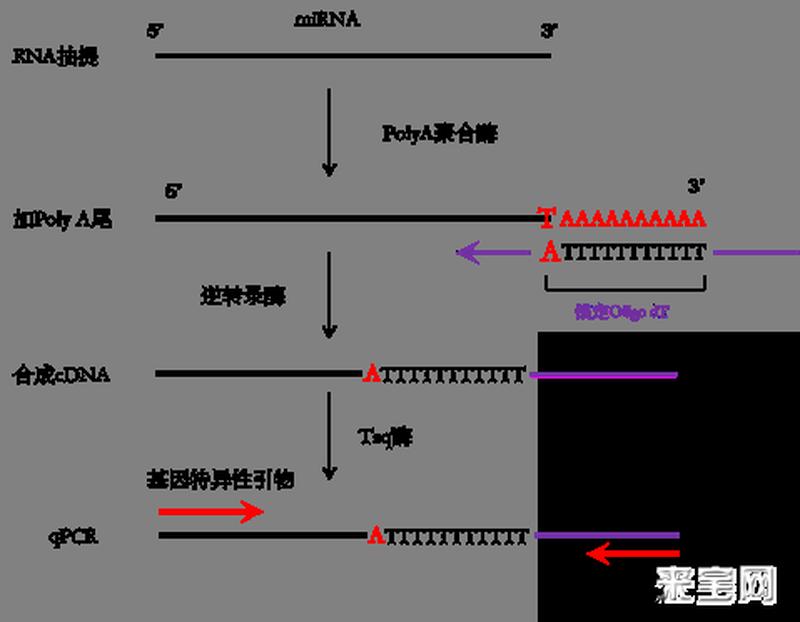 随机进程名称技术(溯源随机：重新审视进程的偶然性)-第1张图片-铖浩科技
