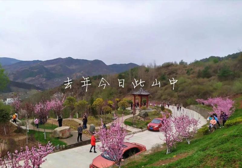 音乐截取器在线_音符猎手：捕捉灵感，谱写乐章-第1张图片-铖浩科技