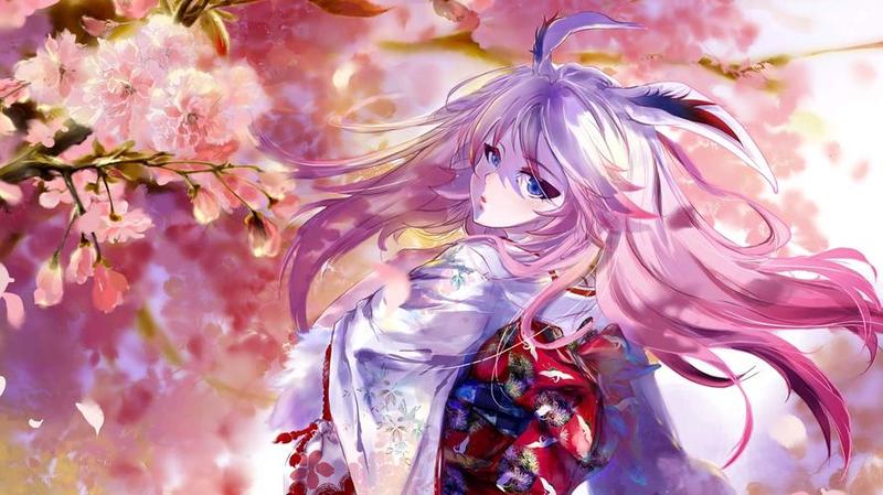 樱花动漫 下载(次元之门，动漫盛宴)-第1张图片-铖浩科技