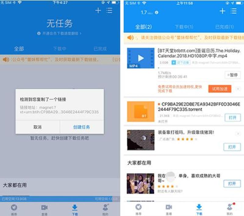 迅雷iOS下载神器：路径指南，轻松下载无忧-第1张图片-铖浩科技