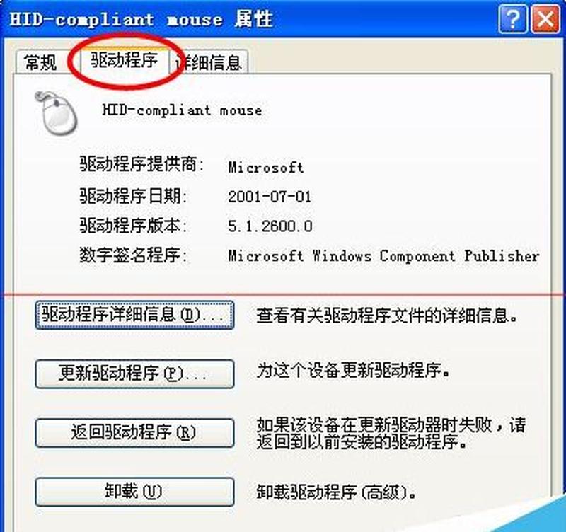 驱动加载助手：一键解决驱动难题-第1张图片-铖浩科技