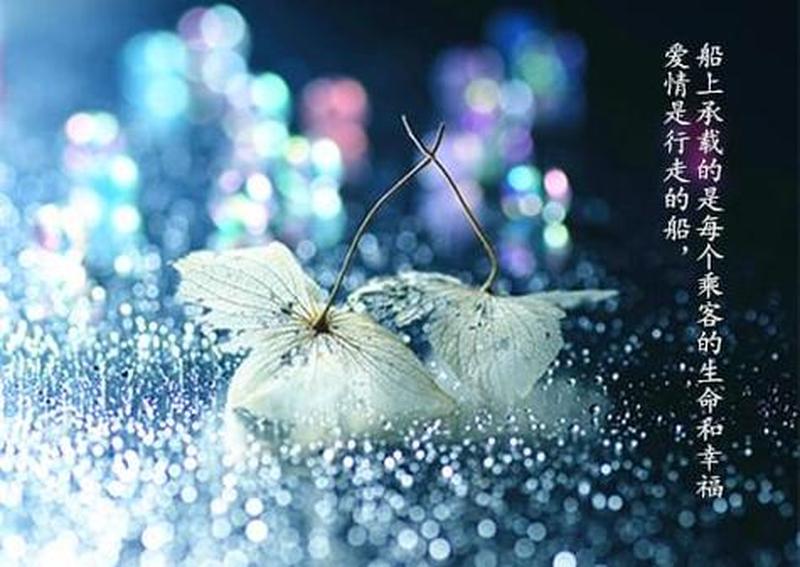 花藤绕指，诉说青春的馨香-第1张图片-铖浩科技