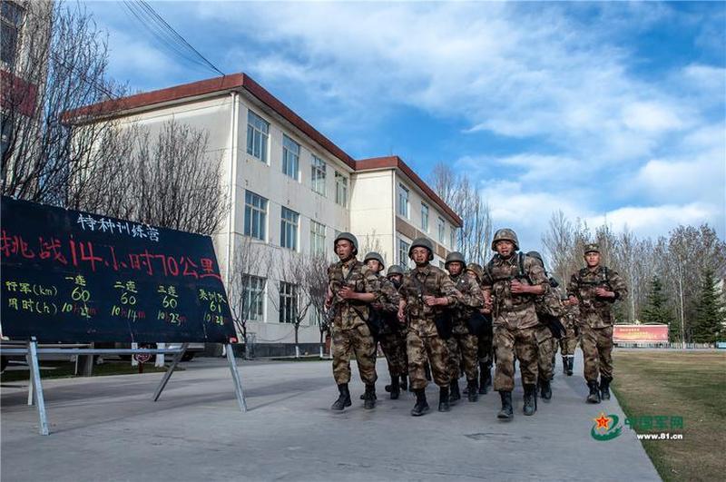 飞扬军事网：纵横沙场，洞察军情-第1张图片-铖浩科技